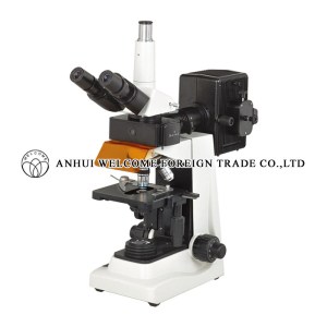 AH035 Fluorescent Microscope YX-2