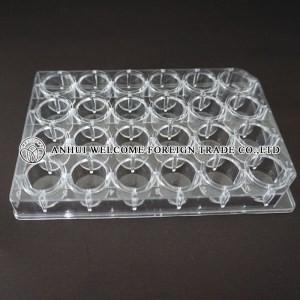 24wells-ps-pcr-plate