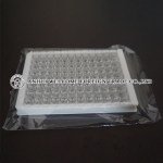 96wells-pcr-plate-with-white-side