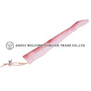 AH950 Injectable Training Arm Model (without set)