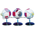 AH956 Colour Giant Eye, (6 pcs) 6 Times, Magnified. Round Base