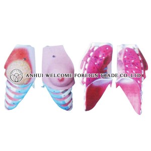 AH964 The Model of Mammary Dissection 2 Parts