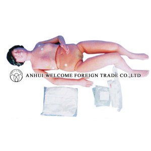 AH976 The Basic Patient Care Mannequin (Natural Size)