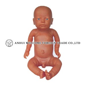 AH986 New Style Newborn Model (Baby Model)