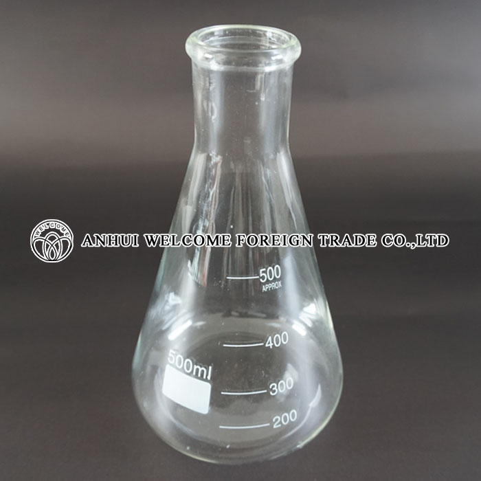 Glass Erlenmeyer Flask