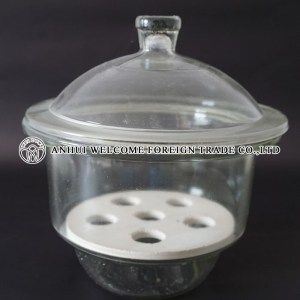 Vacuum Desiccator