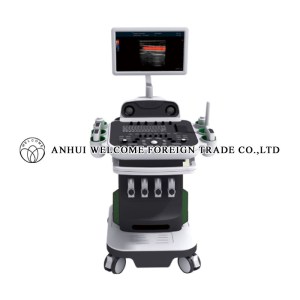 cx-2300-color-doppler